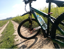 ��̣��� �����