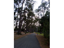 �����, ���������� �����