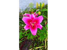 IMG 20190720 200040.jpg