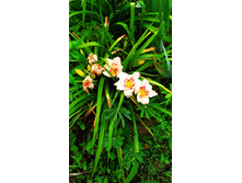 IMG 20190723 183903.jpg