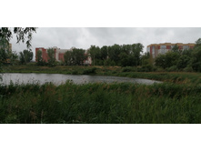 IMG 20190629 141457.jpg