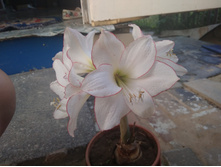 IMG 20190606 200336.jpg