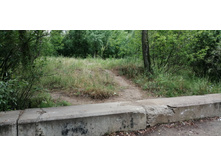 IMG 20190629 140514.jpg