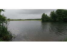 IMG 20190629 103249.jpg