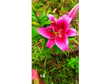 IMG 20190718 104509.jpg