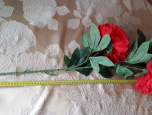 75 �� ������ ������