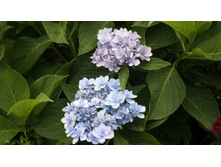 ��������� �������������� � ��� �� �������