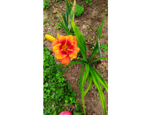 IMG 20190720 094704.jpg