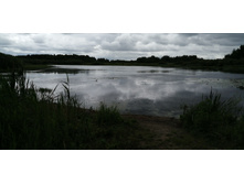 2019-06-29 09-48-24.JPG