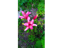 IMG 20190716 204546.jpg