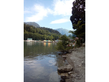 ����� ����