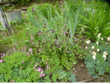 P1090123.JPG ���������� �������� � ������ .