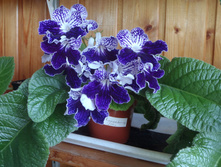 Remembering John.jpg