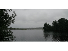 IMG 20190629 104701.jpg