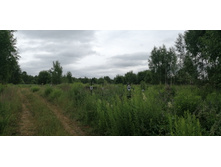 2019-06-30 10-34-49.JPG