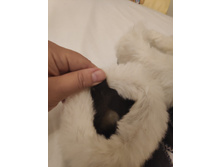 ������� ����������� ������ �.25