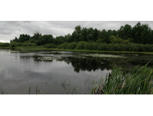 IMG 20190629 095019.jpg