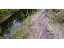 IMG 20190714 111025.jpg