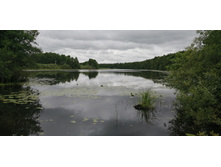 IMG 20190629 121457.jpg