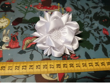 IMG 20190630 201059.jpg