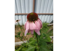 IMG 20190721 104904.jpg