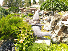 IMG 20190712 112711.jpg