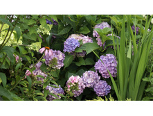 ������ �������