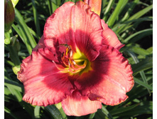 ��� ������ (�����. �����.)*+)�300