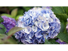 ��������� � � ������