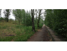 IMG 20190629 140555.jpg