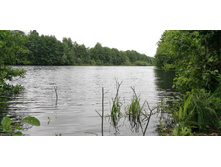 IMG 20190629 102323.jpg