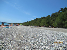 ���� �����, ����� ����