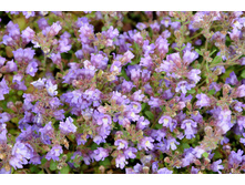 ��������� �������������.jpg