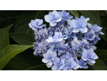 ��������� �������������� � ��� �� �������