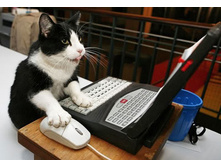 �� ��� ������ ��� � ������� �������� ...