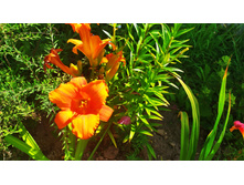 IMG 20190728 094145.jpg