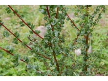 ��� ����������� ������.jpg