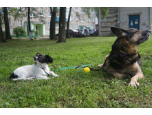 DSC01114.JPG