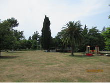 ���� �������