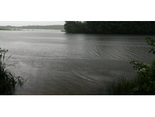 IMG 20190629 105744.jpg