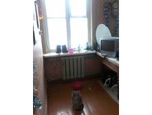 �����������. ���������.jpg