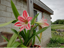 IMG 20190624 104917.jpg