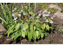 ������� ������.jpg