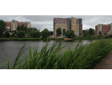 IMG 20190629 182223.jpg