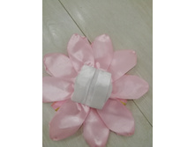 IMG 20190711 125126.jpg