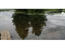 IMG 20190629 121546.jpg