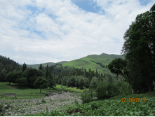 ���������� ����