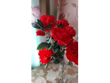 ���� ������� �������, �� �� ���� , � ������ ������- ��������.