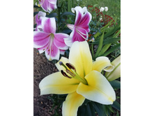 IMG 20190728 173625.jpg