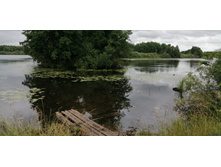 IMG 20190629 121115.jpg